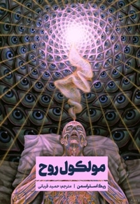 دی ام تی، مولکول روح